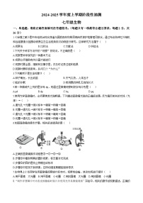 山东省临沂市费县探沂中学联考2024-2025学年七年级上学期第一次月考生物试题 (无答案)