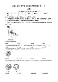 福建省三明市尤溪县多校2024-2025学年七年级上学期10月月考生物试题(无答案)