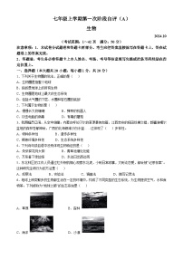 河南省安阳市林州市2024-2025学年七年级上学期10月月考生物试题