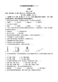 陕西省延安市志丹县县域2024-2025学年七年级上学期10月月考生物试题