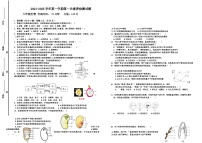 山东省乐陵市张桥中学2024-2025学年八年级上学期第一次月考生物试题