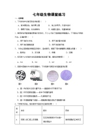 江苏省盐城市阜宁县实验初级中学2024-2025学年七年级上学期10月月考生物试题