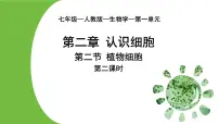 初中生物人教版（2024）七年级上册（2024）第二节 植物细胞课文配套课件ppt
