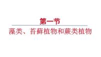 初中生物人教版（2024）七年级上册（2024）第一节 藻类、苔藓和蕨类课前预习课件ppt