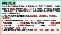 初中生物人教版（2024）七年级上册（2024）第一单元 生物和细胞第三章 从细胞到生物体第三节 植物体的结构层次备课课件ppt