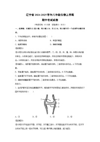 [生物][期中]辽宁省2024-2025学年八年级上学期期中考试试卷(解析版)