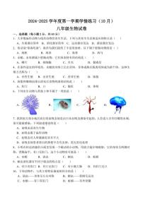 [生物]广东省茂名市高州市第一中学附属实验中学2024～2025学年八年级上学期10月月考试题(有答案)