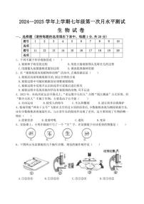 [生物]河南省新乡市原阳县2024～2025学年七年级上学期10月月考试题(有答案)