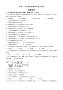 [生物]江苏省宿迁市沭阳县怀文中学2024～2025学年七年级上学期10月月考试题(有答案)