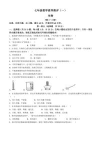 [生物]陕西省延安市志丹县县域2024～2025学年七年级上学期10月月考试题(有答案)