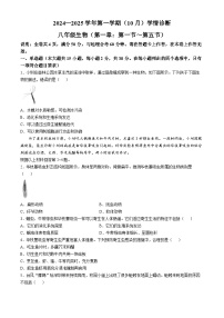 广东省深圳市龙岗区2024-2025学年八年级上学期10月学情诊断生物月考联考试卷