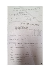 河北省邯郸市广平县实验中学2024-2025学年七年级上学期10月月考生物试题