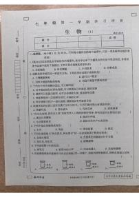 河南省新乡市原阳县路寨乡贾村实验学校2024-2025学年七年级上学期10月月考生物试题