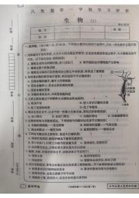 河南省新乡市原阳县路寨乡贾村实验学校2024-2025学年八年级上学期10月月考生物试题