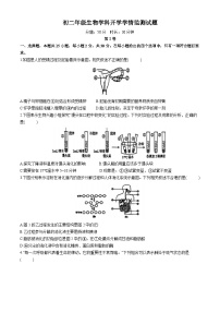 山东省日照市北京路中学2024-2025学年八年级上学期10月月考生物试题(无答案)