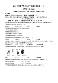 广西南宁市青秀区凤岭南路中学2024-2025学年七年级上学期10月月考生物试题(无答案)