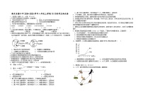 湖北省省直辖县级行政单位13校联考2024-2025学年八年级上学期10月月考生物试题