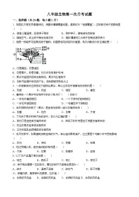 山东省菏泽市东明县第二初级中学2024-2025学年八年级上学期10月月考生物试题(无答案)