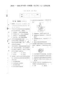 山西省大同市新荣区两校联考2024-2025学年七年级上学期10月月考生物试题