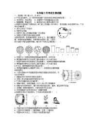 湖北省荆门市沙洋县纪山中学2024-2025学年七年级上学期第一次月考生物试卷