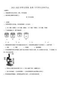 辽宁省鞍山市第二中学2024-2025学年七年级上学期10月月考生物试题