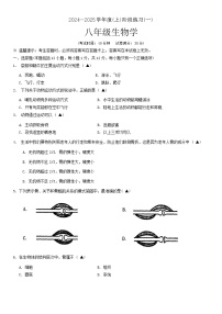 辽宁省抚顺市新抚区2024-2025学年八年级上学期10月月考生物试题