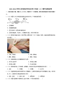 江苏省扬州市仪征市2023-2024学年八年级上学期期中考试生物试卷