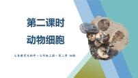 初中生物北师大版（2024）七年级上册（2024）第2章 细胞图片课件ppt