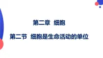 北师大版（2024）七年级上册（2024）第2节 细胞是生命活动的单位教案配套ppt课件