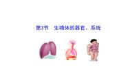 北师大版（2024）第2单元 生物体的结构第3章 生物体的结构层次第3节 生物体的器官、系统课前预习ppt课件