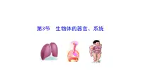 北师大版（2024）第2单元 生物体的结构第3章 生物体的结构层次第3节 生物体的器官、系统课前预习ppt课件