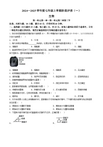 河北省邢台市任泽区多校2024-2025学年七年级上学期10月月考生物试题