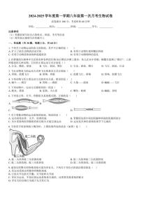 [生物]广东省揭阳市揭西县上砂中学2024～2025学年八年级上学期第一次月考试题(有答案)