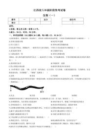 [生物]江西省鹰潭市余江区正源学校2024～2025学年八年级上学期10月月考试题(有答案)