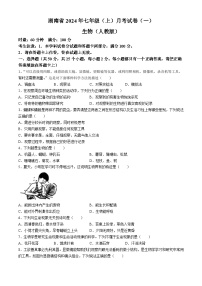 湖南省多校联考2024-2025学年七年级上学期月考卷（一）生物试题（人教）(无答案)