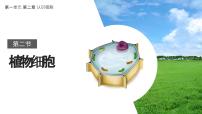 初中生物人教版（2024）七年级上册（2024）第二节 植物细胞课堂教学课件ppt