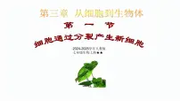 初中生物人教版（2024）七年级上册（2024）第一节 细胞通过分裂产生新细胞教课内容课件ppt