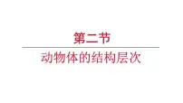 人教版（2024）七年级上册（2024）第二节 动物体的结构层次多媒体教学ppt课件