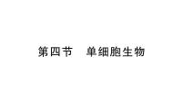 人教版（2024）七年级上册（2024）第一单元 生物和细胞第三章 从细胞到生物体第四节 单细胞生物习题ppt课件