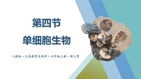 初中生物人教版（2024）七年级上册（2024）第四节 单细胞生物背景图课件ppt