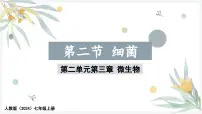 初中人教版（2024）第二节 细菌教学演示课件ppt