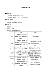 初中第三节 神奇的微生物学案设计