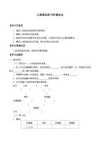 初中生物济南版（2024）八年级上册第三节 人类染色体与性别决定导学案