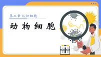 生物七年级上册（2024）第三节 动物细胞评优课教学ppt课件