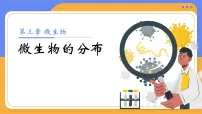 初中生物人教版（2024）七年级上册（2024）第一节 微生物的分布优秀教学ppt课件