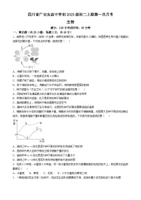 四川省广安市友谊中学2024-2025学年八年级上学期10月检测生物试卷(无答案)