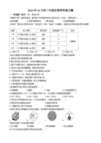 河北省石家庄市第十三中学2024-2025学年八年级上学期10月份月考生物试卷(无答案)