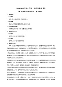 苏科版（2024）七年级上册（2024）第1节 细胞的分裂与分化第2课时教学设计