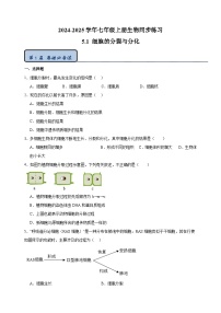 初中生物苏科版（2024）七年级上册（2024）第1节 细胞的分裂与分化课后作业题