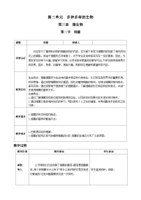 人教版（2024）七年级上册（2024）第二节 细菌教学设计